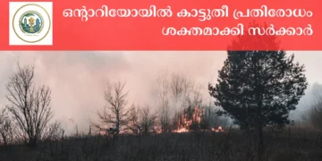 കാട്ടുതീ ഭീഷണി: മുൻകരുതലുകൾ ശക്തമാക്കി ഒന്റാറിയോ സർക്കാർ; കൂടുതൽ ജീവനക്കാരെ നിയമിച്ചു