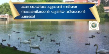ഏവൺ നദിയെ സംരക്ഷിക്കാൻ വേറിട്ട ഡിസൈൻ ചലഞ്ചുമായി സ്ട്രാറ്റ്‌ഫോർഡ് നഗരം