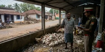 കോഴികൾ ചത്തു ഡിജെ സംഗീതം