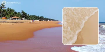 ശംഖുമുഖം ബീച്ച് പുനരുദ്ധാരണം